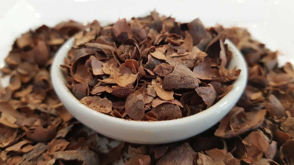 Reishi & Hawaiian Cinnamon Cacao Tea