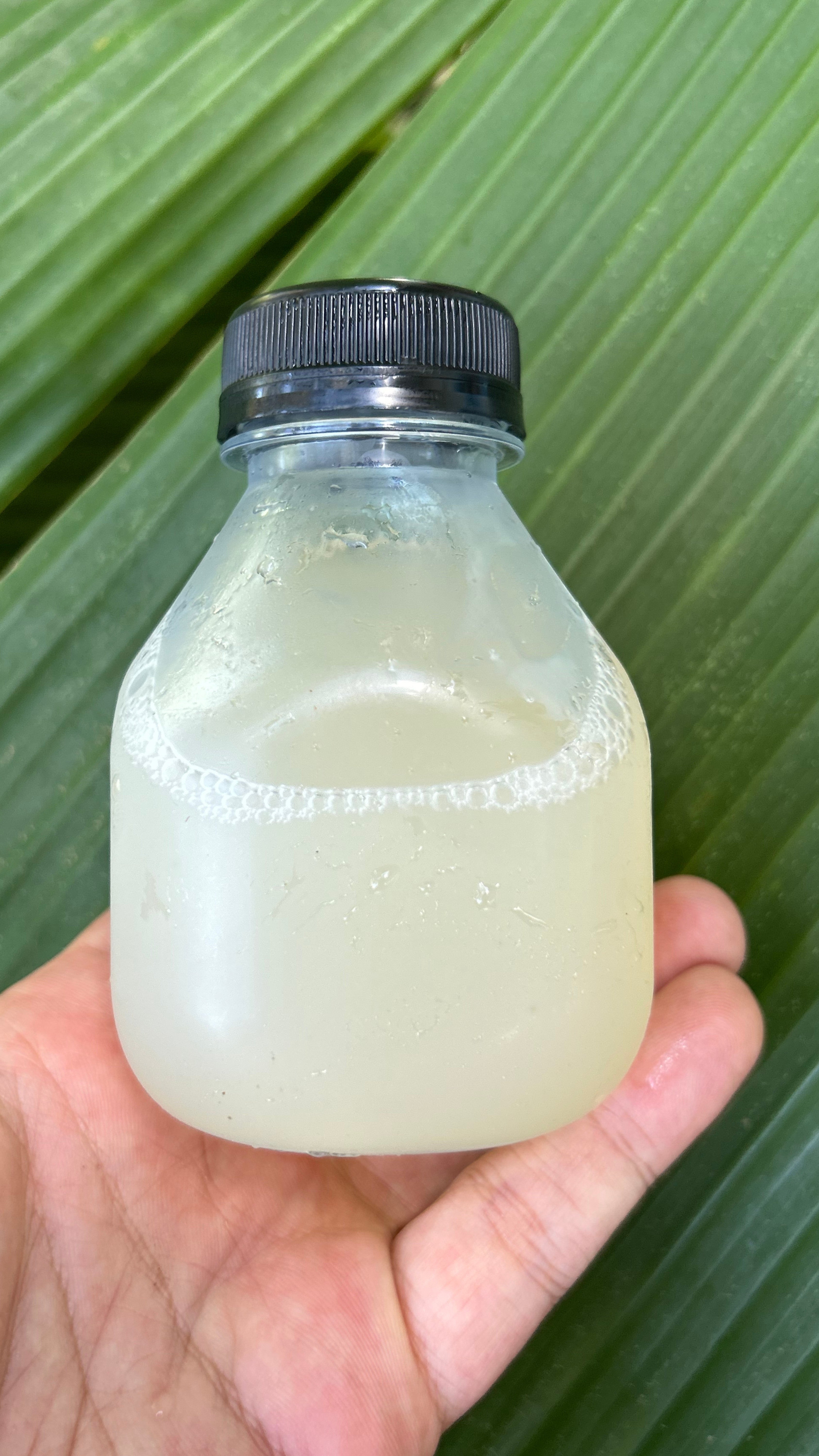 Hawaii Cacao Pulp Nectar by CRAFTRY